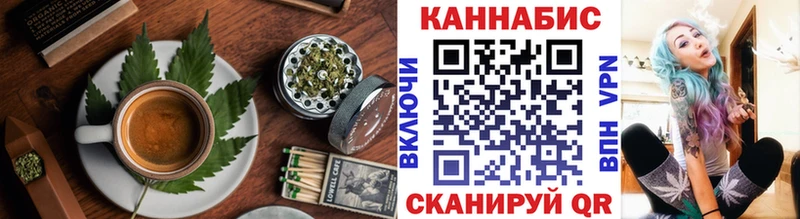 где найти   Почеп  Cannafood конопля 
