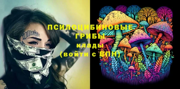 экстази Новодвинск