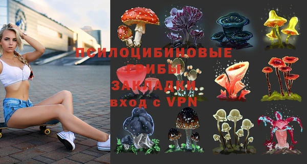 экстази Новодвинск