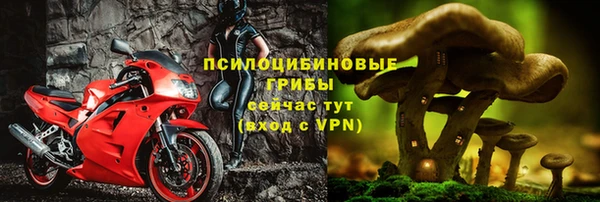 прущая мука Новозыбков