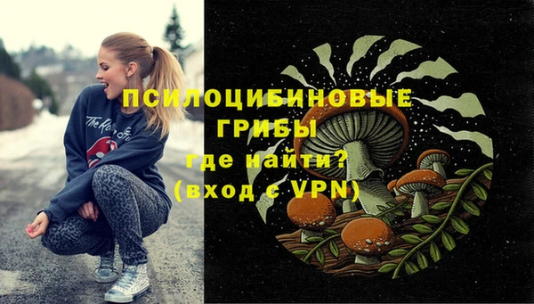 экстази Новодвинск