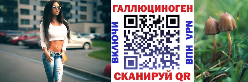 цена   Почеп  ОМГ ОМГ как зайти  Галлюциногенные грибы ЛСД 